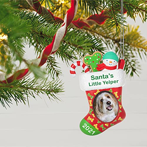 Hallmark Keepsake Christmas Ornament, Year Dated 2021, Santa's Little Yelper Dog Stocking Photo Frame