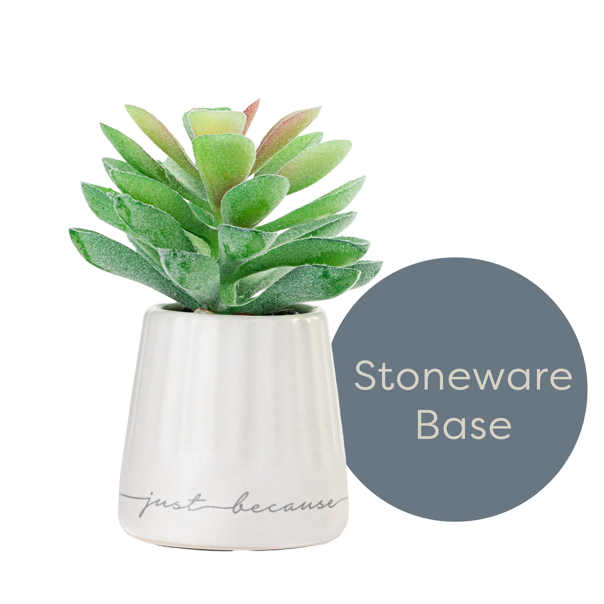 DEMDACO XO Just Because Modern Design White 2 x 1.5 Stoneware Artificial Mini Succulent