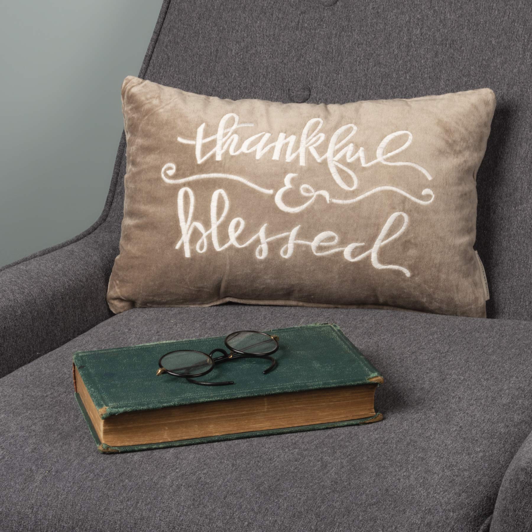 Thankful & Blessed Decorative Pillow