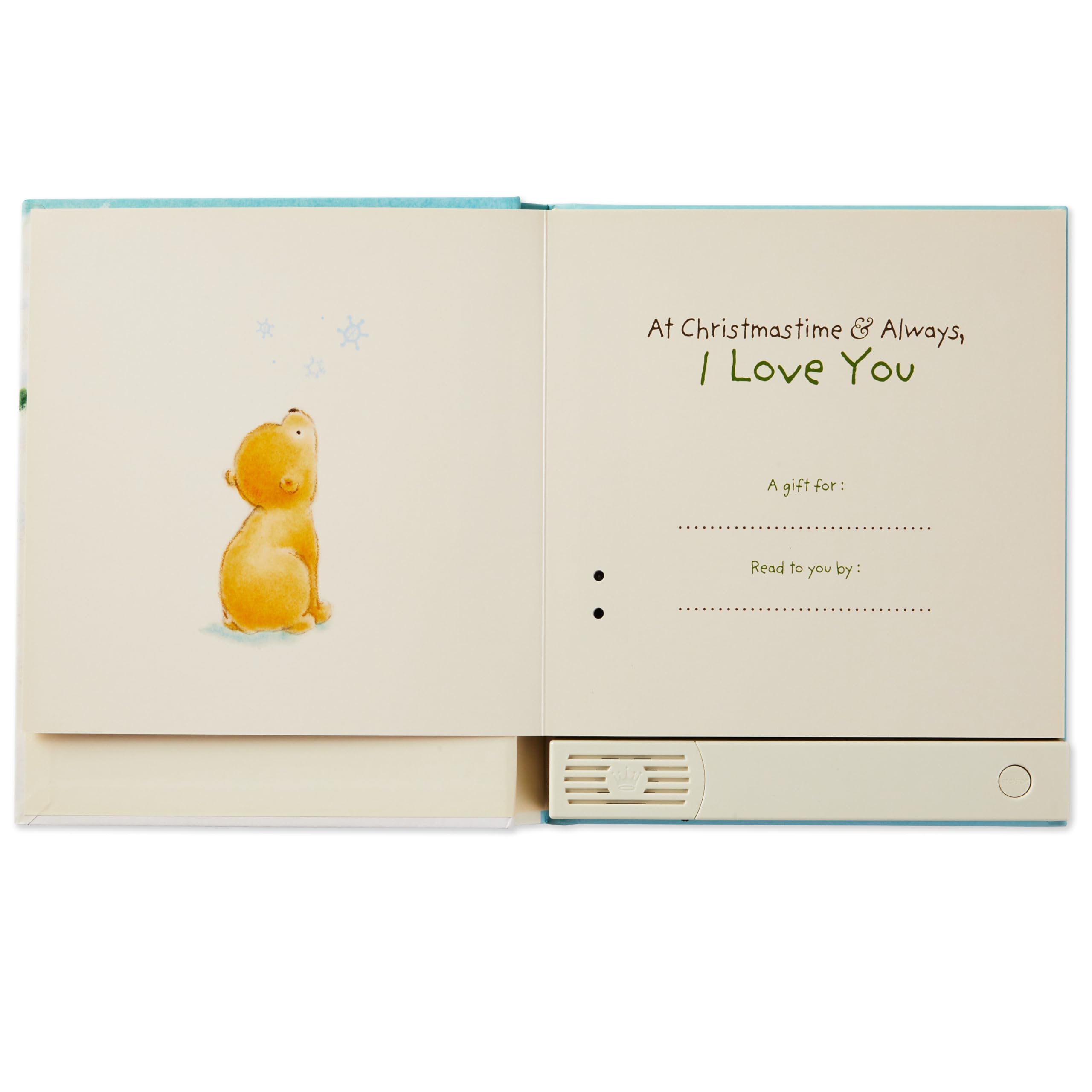 At Christmastime & Always, I Love You Recordable Storybook