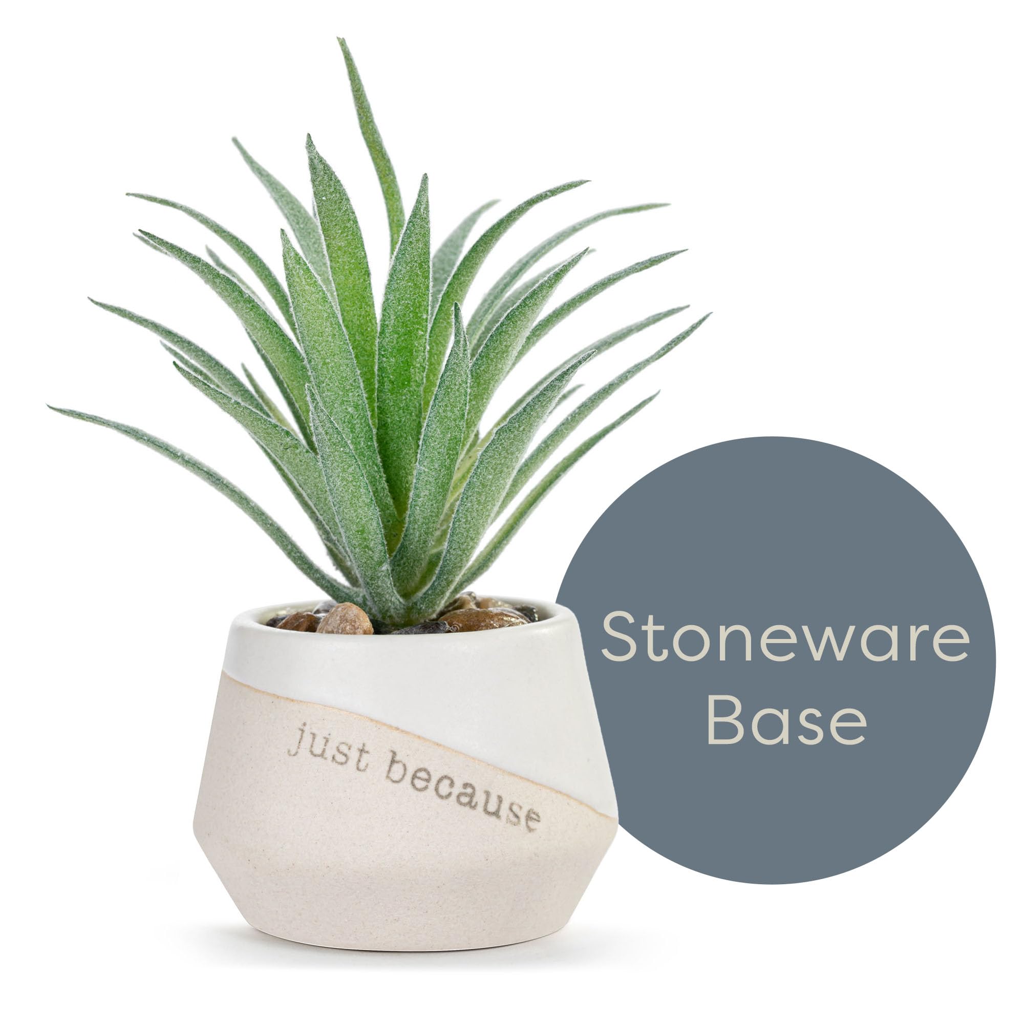 DEMDACO Grateful Just Because Artificial White 2 x 1.5 Stoneware Mini Succulent