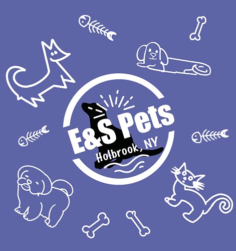 Beagle Ornament with Unique "Dangling Legs" Hand Painted and Easily Personalized Christmas Ornament