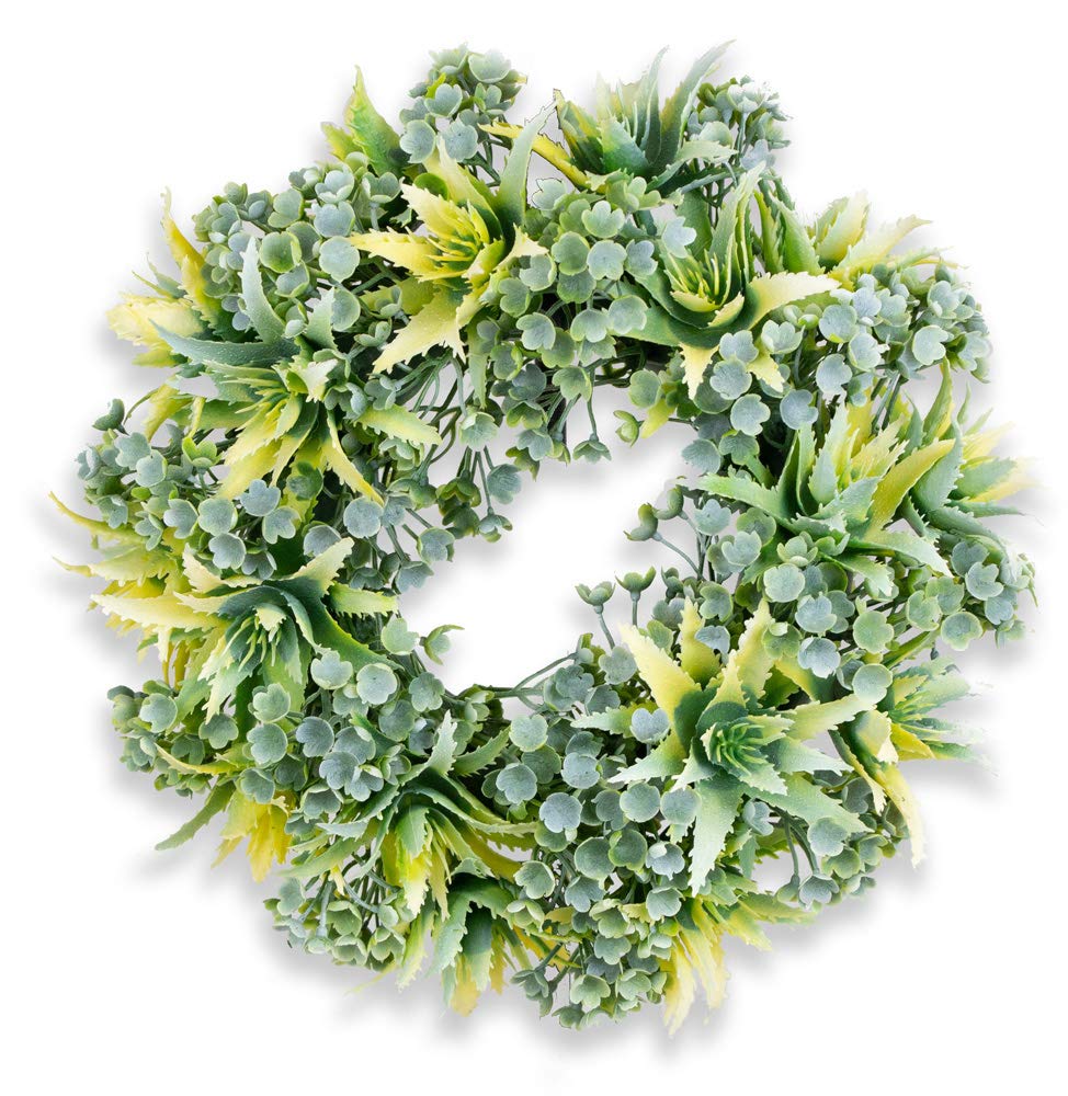 Boston International Decorative Front Door/Wall Wreath, 9.5-Inches, Yellow Cactus Collage