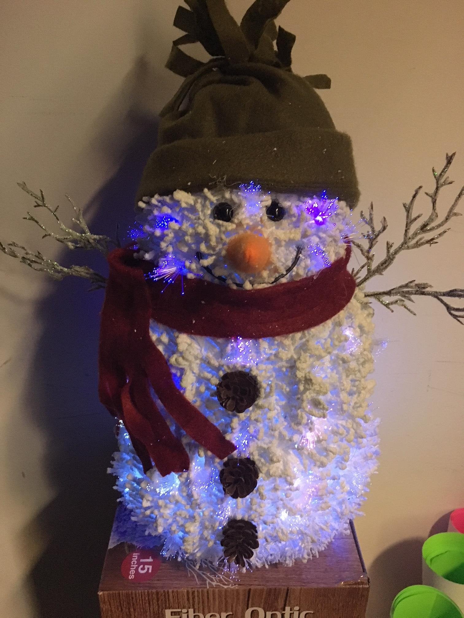 Opportunities 15" Fiber Optic Snowman