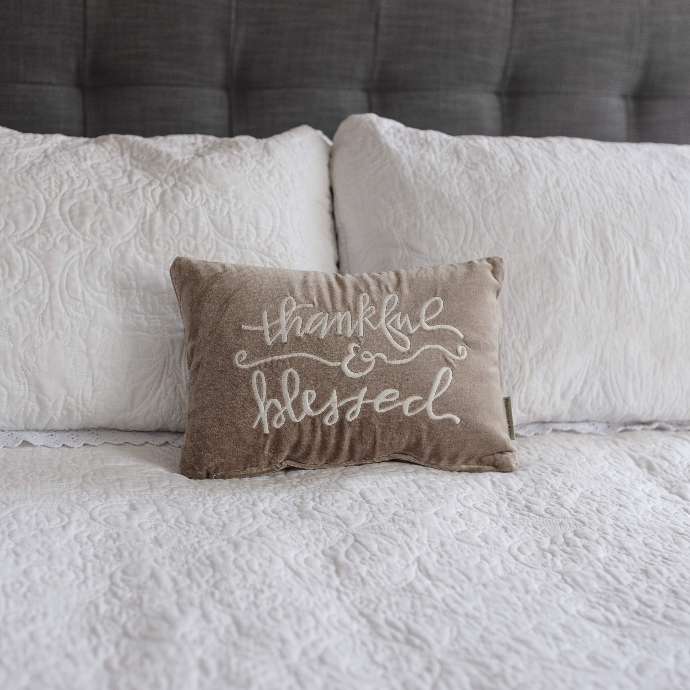 Thankful & Blessed Decorative Pillow