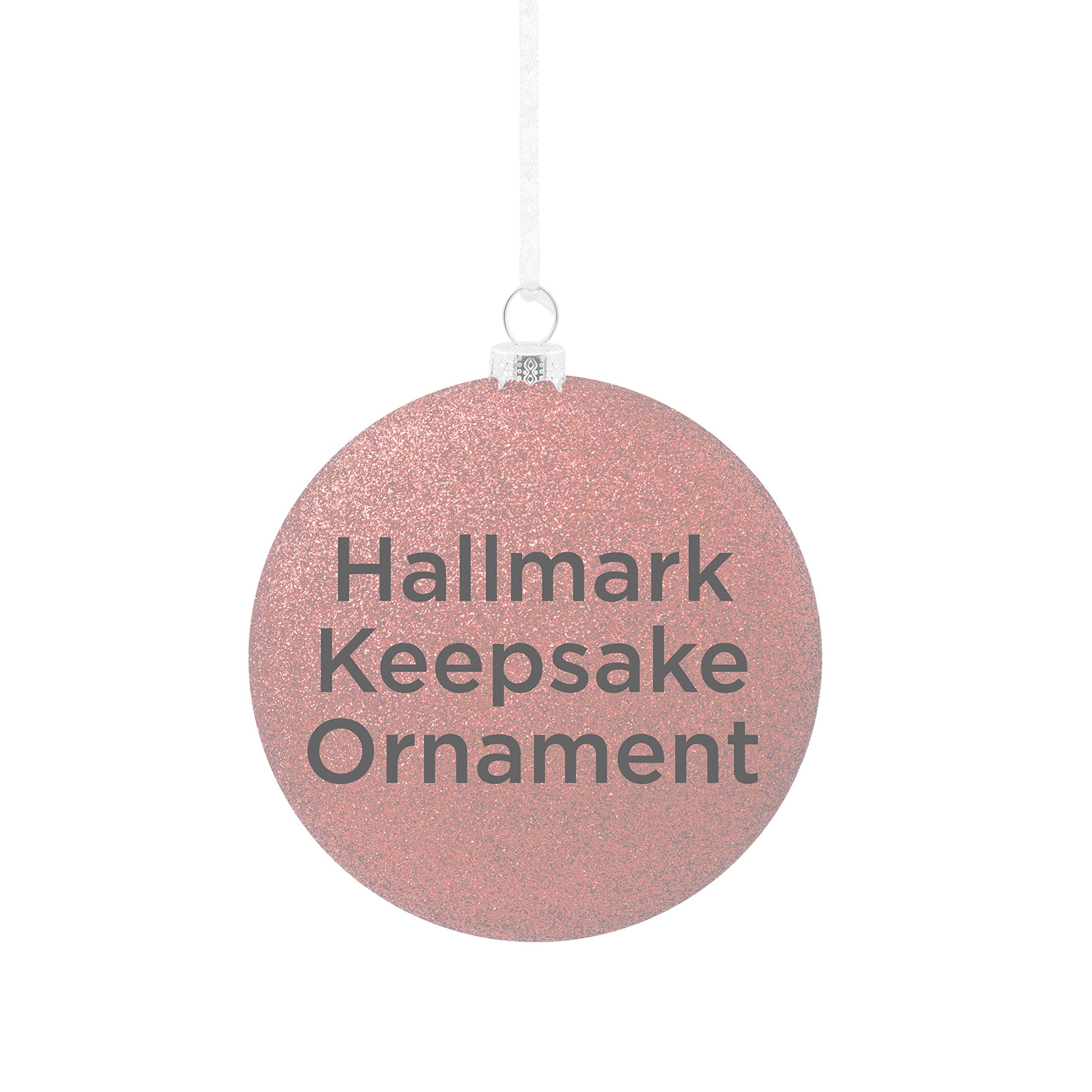 Hallmark Keepsake Christmas Ornament 2020
