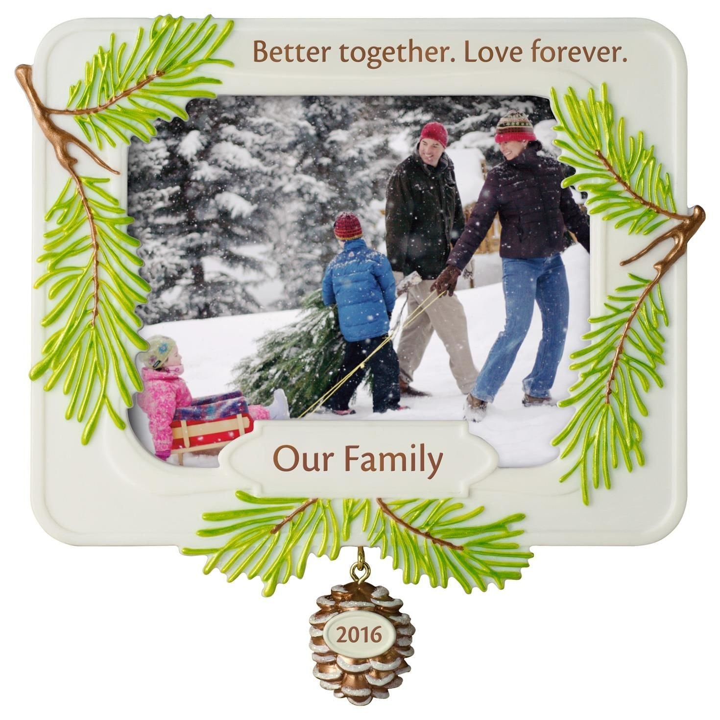 Hallmark Keepsake 2016 "Our Family, Better Together Dated Picture Frame Holiday Ornament