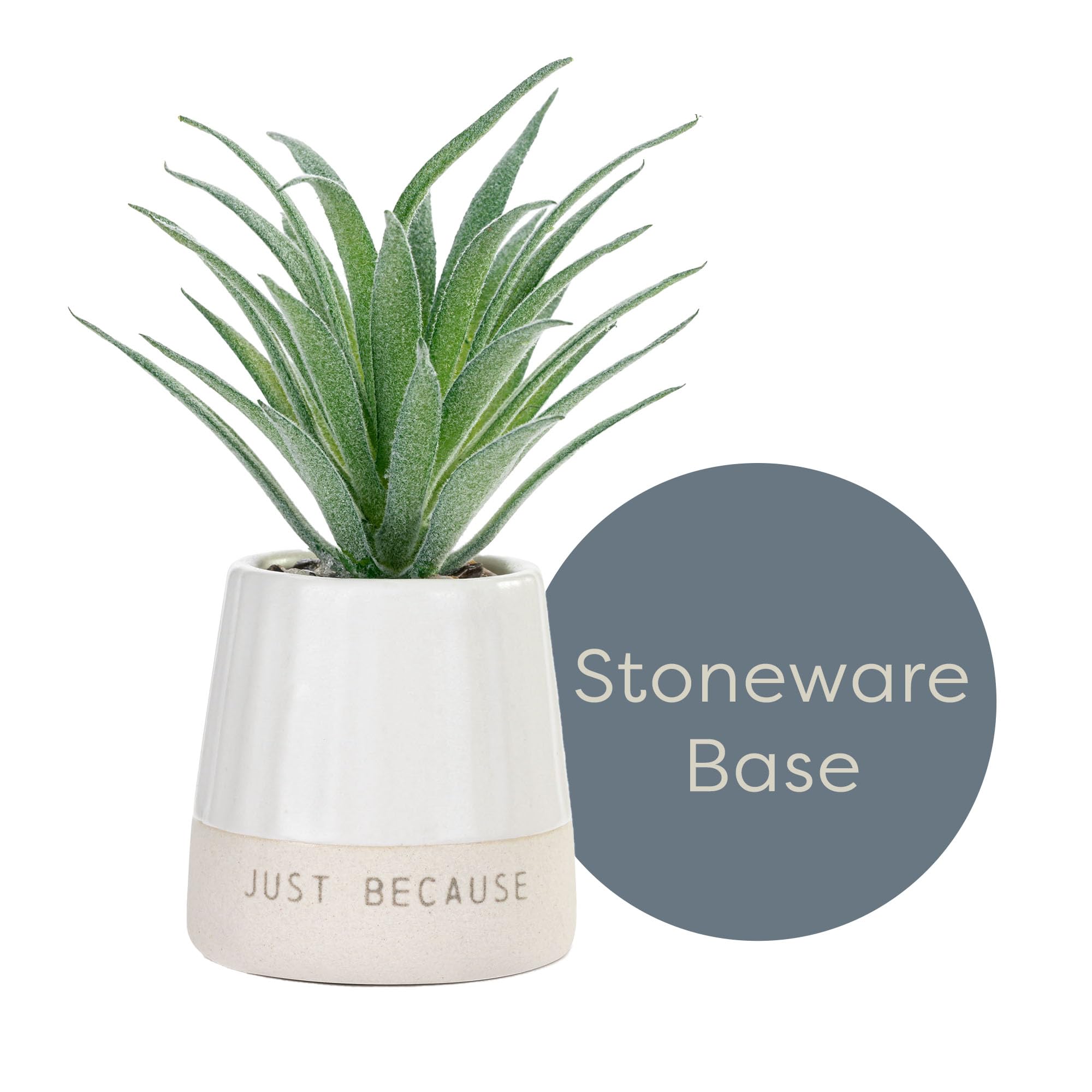 DEMDACO Happy Day Just Because Artificial White 2 x 1.5 Stoneware Mini Succulent