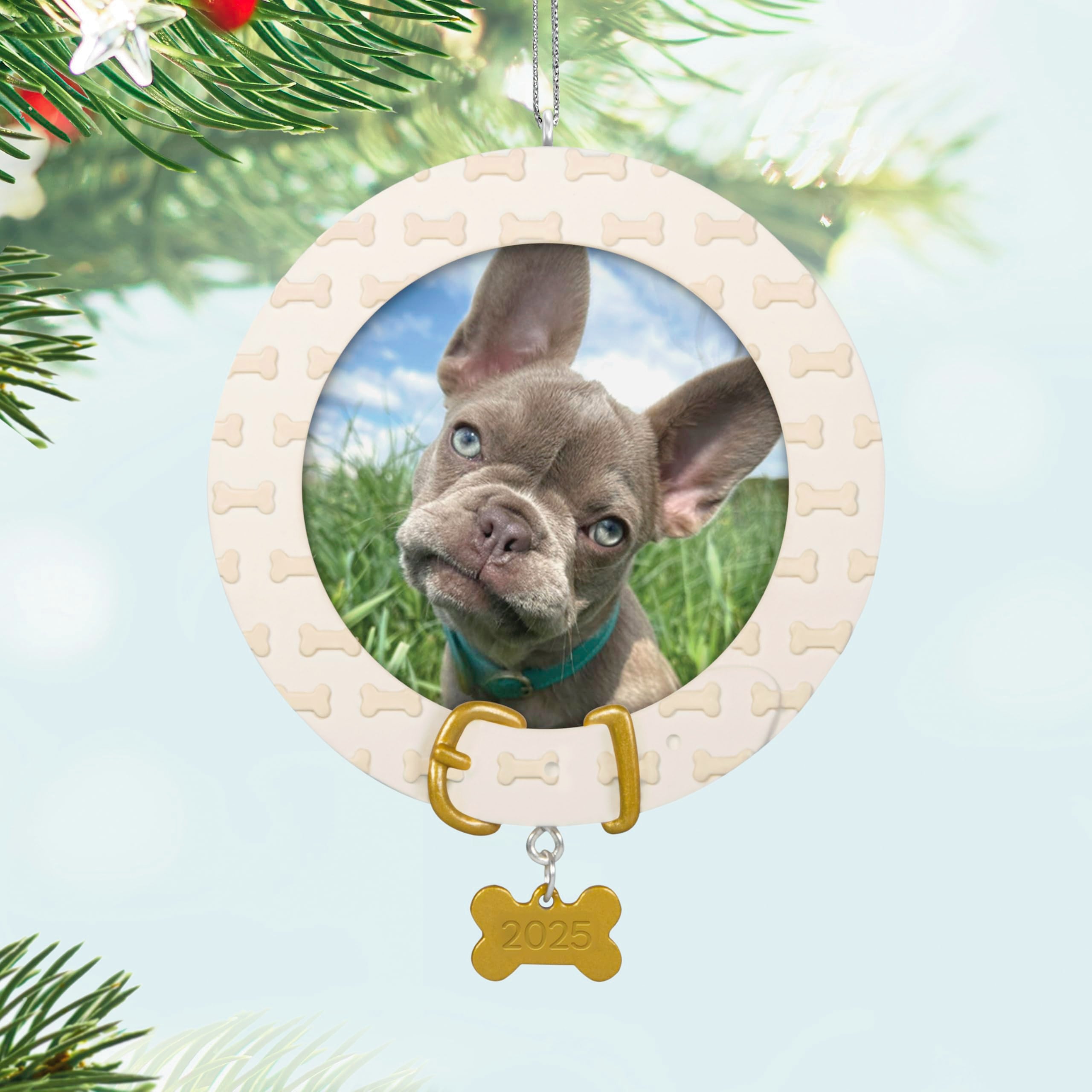 Faithful Friend 2025 Hallmark Keepsake Christmas Ornament