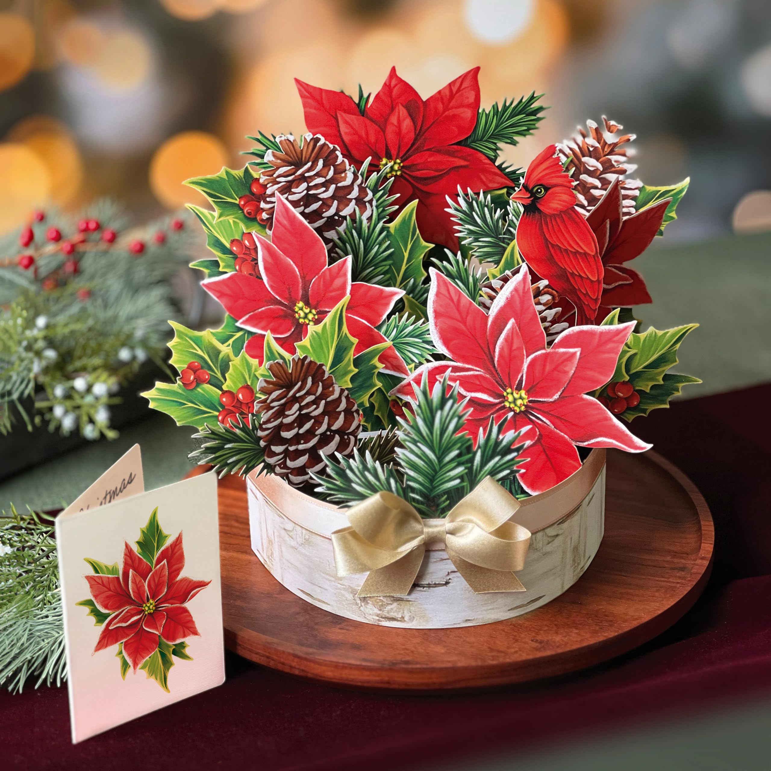 Birch Pot Poinsettia