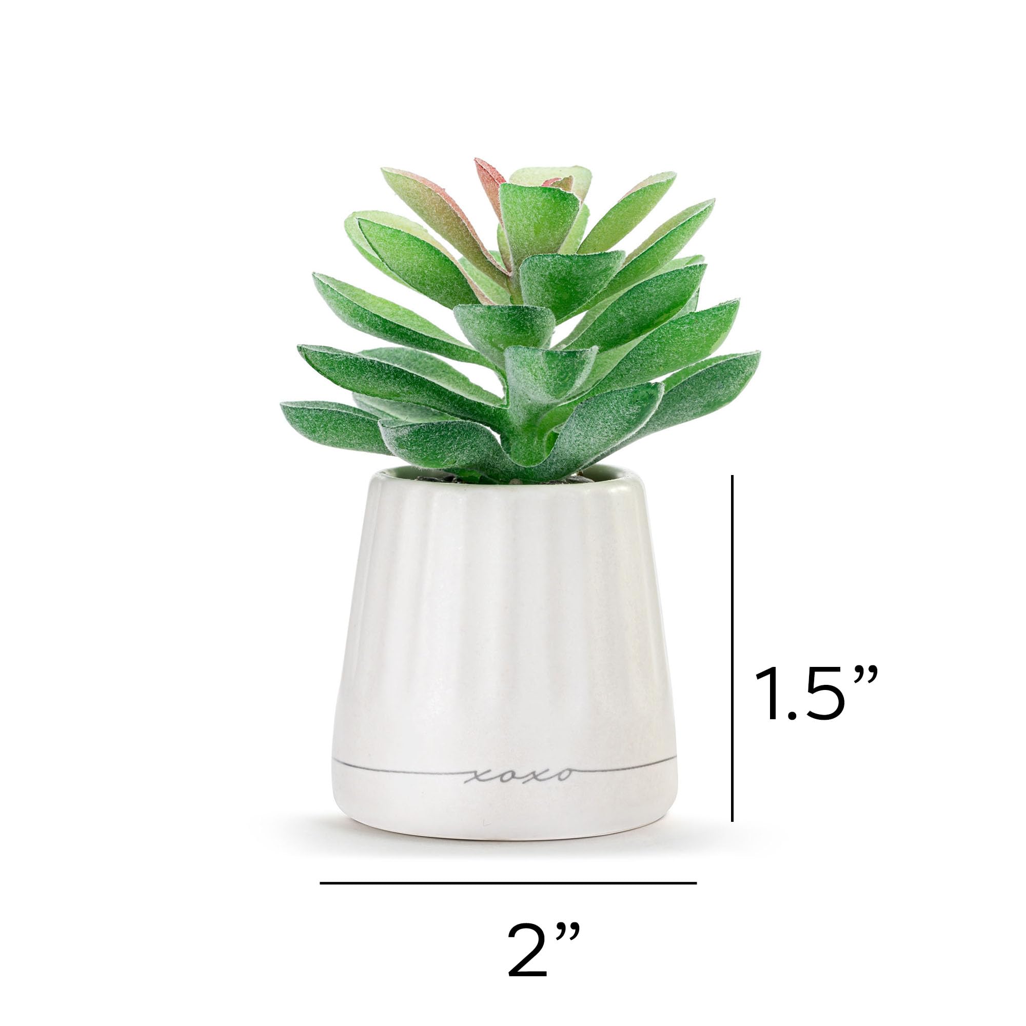 DEMDACO XO Just Because Modern Design White 2 x 1.5 Stoneware Artificial Mini Succulent