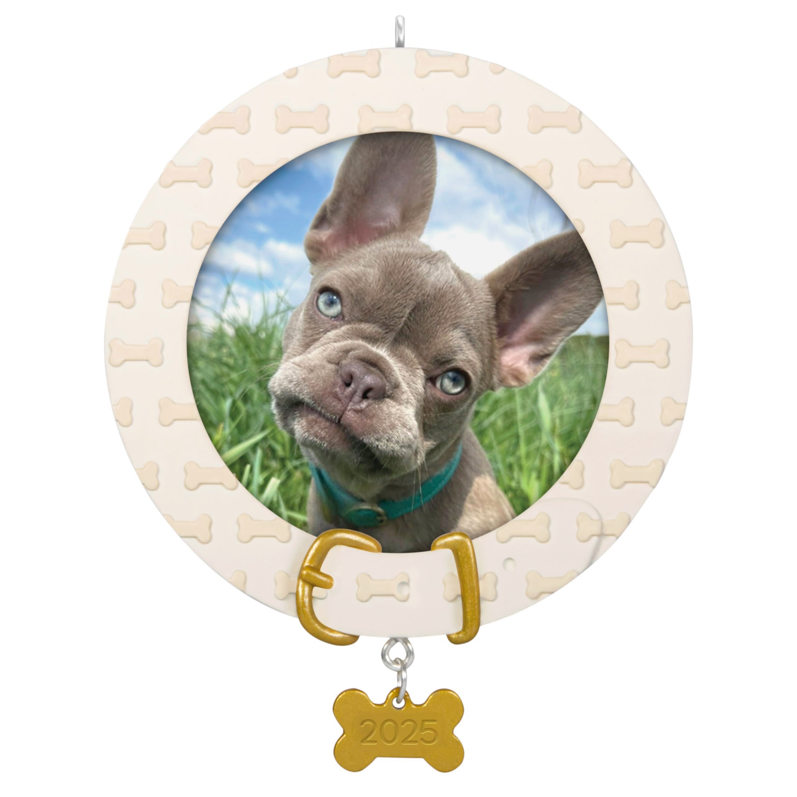 Faithful Friend 2025 Hallmark Keepsake Christmas Ornament