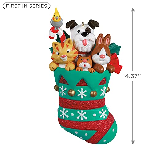 Hallmark Keepsake Christmas Ornament 2021, Stocking Stuffers Pets