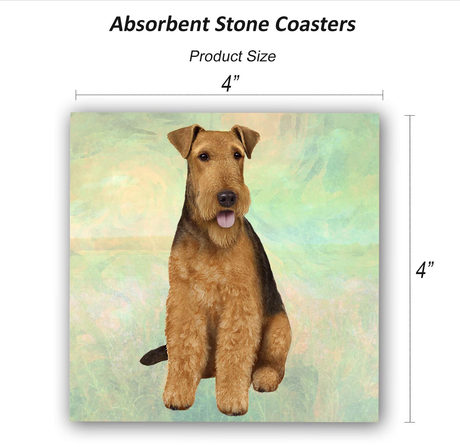 Airedale Coaster