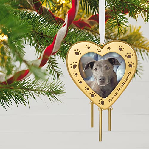 Hallmark Keepsake Christmas Ornament 2022, Forever Friend Pet Memorial Ornament for Dog or Cat Picture Frame, Metal