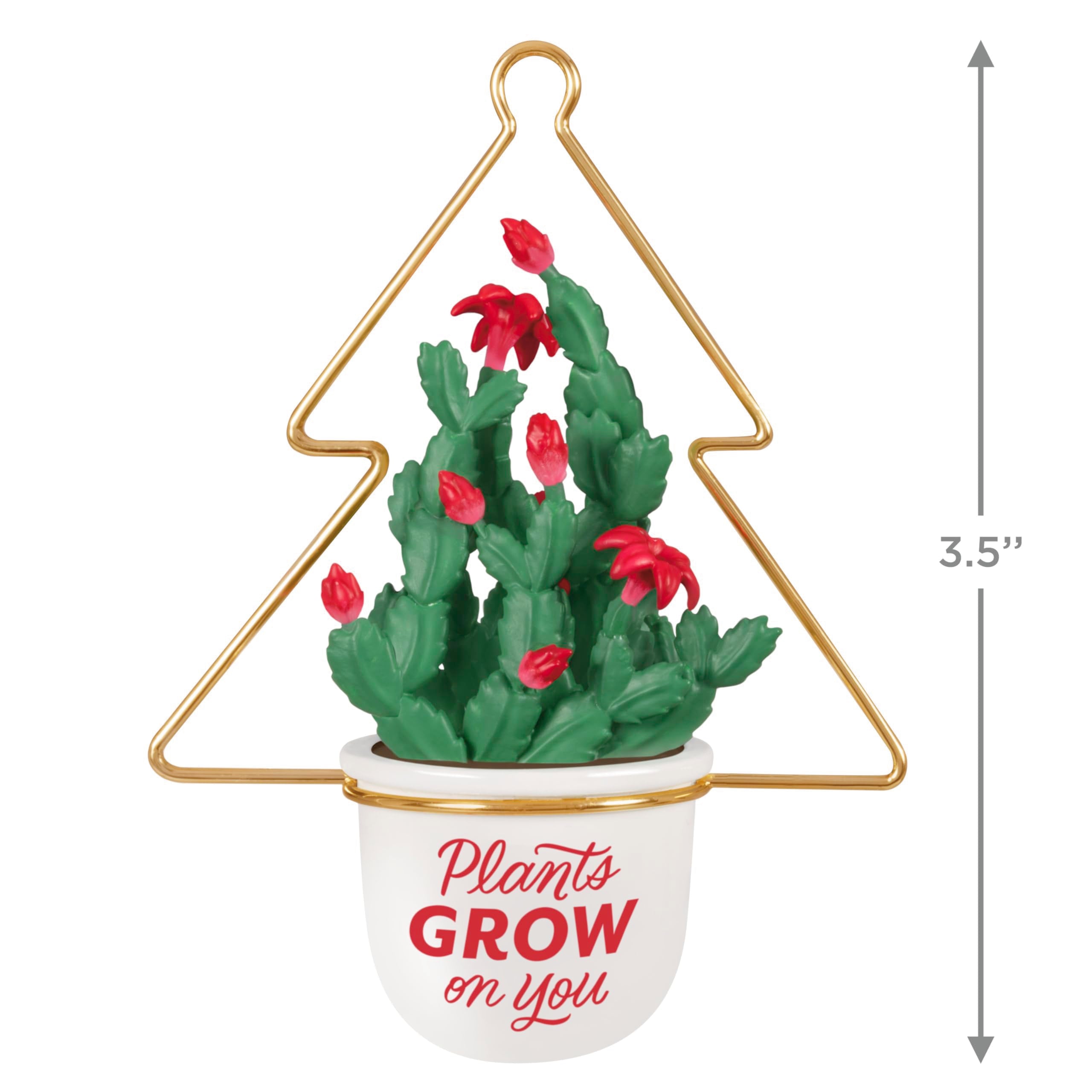 Plants Grow on You 2025 Hallmark Keepsake Christmas Ornament
