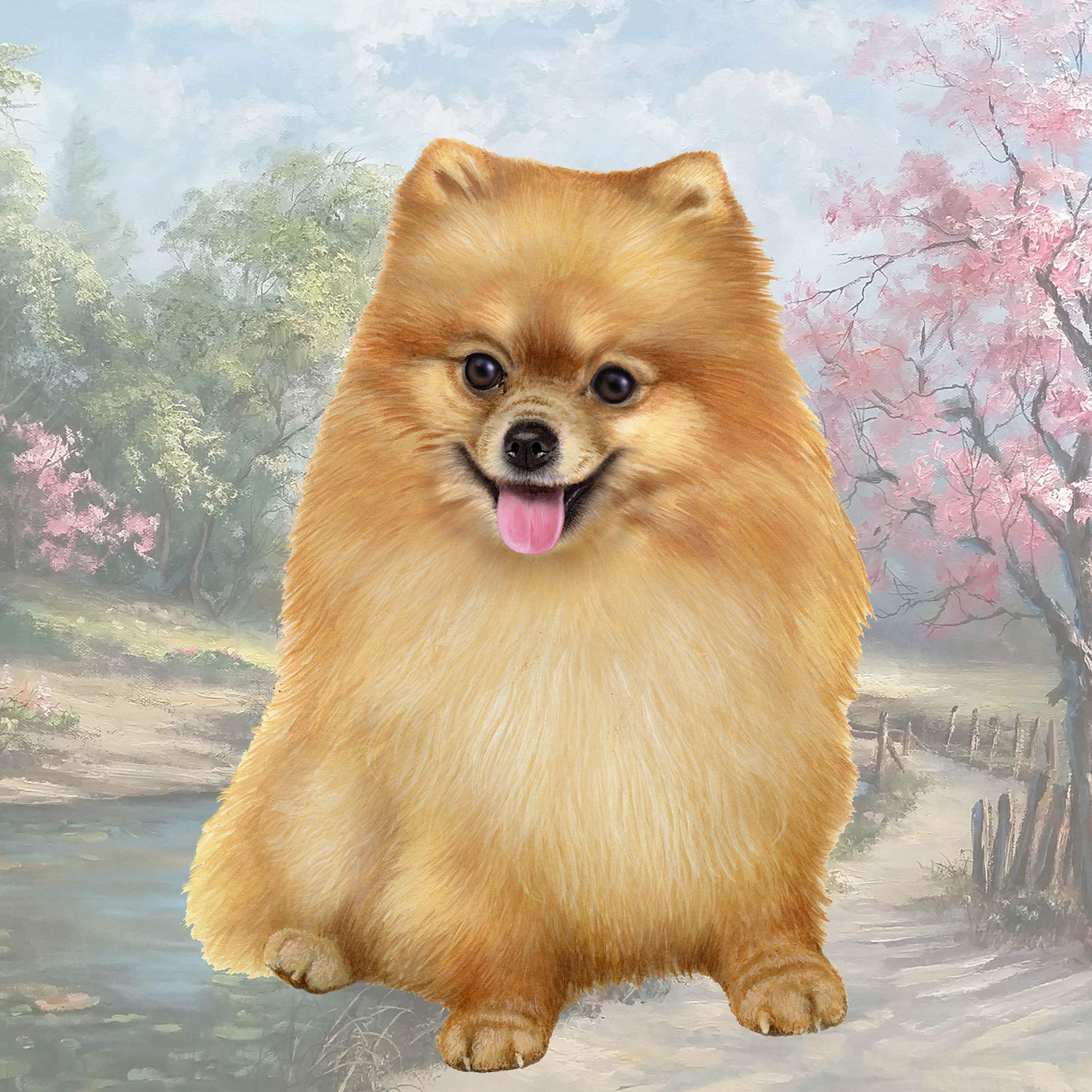 Pomeranian Coaster