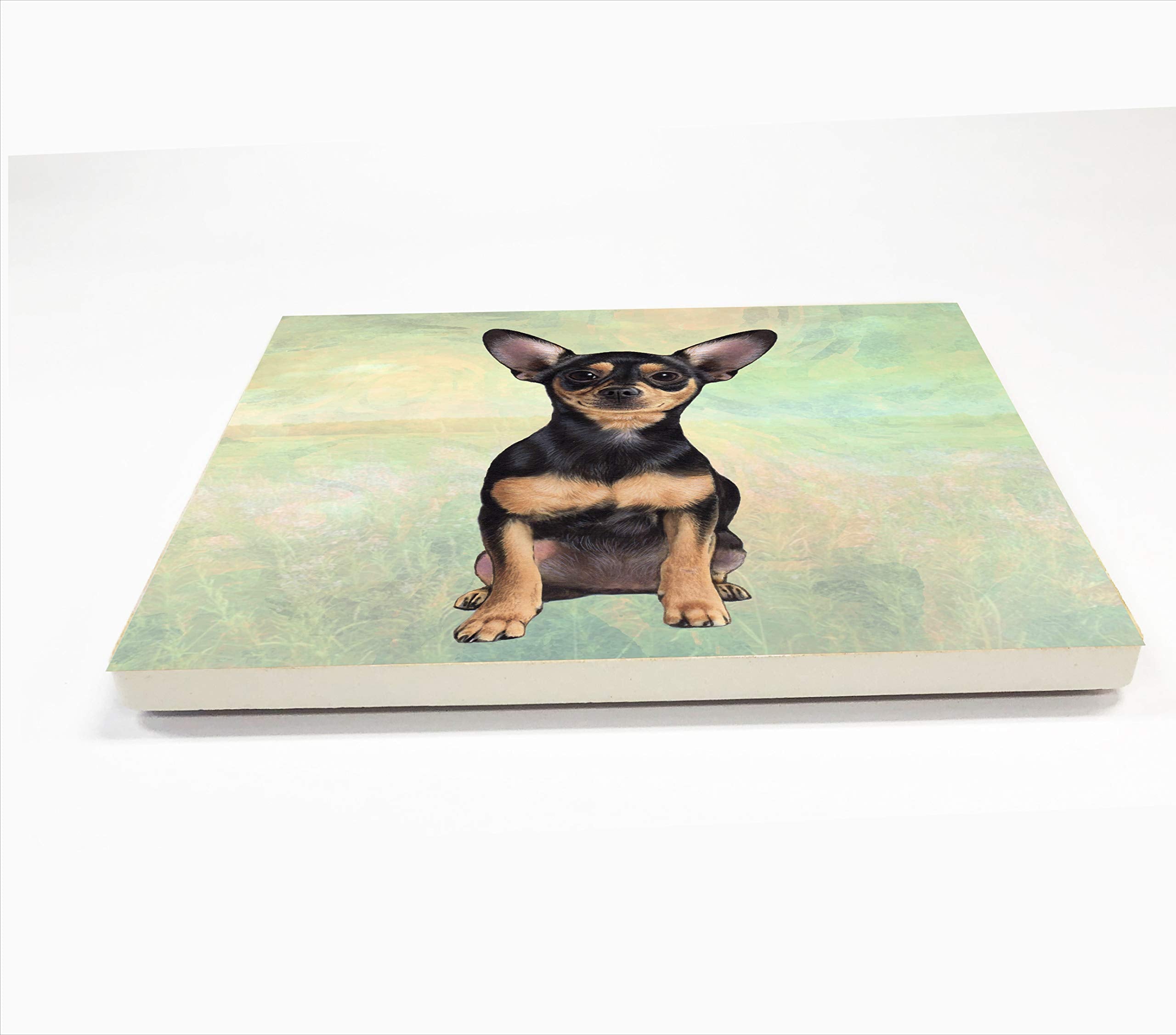 Black Chihuahua Coaster