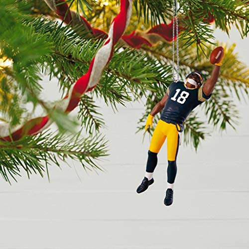 Hallmark 2018 Keepsake Ornament - Green Bay Packers Randall Cobb Ornament