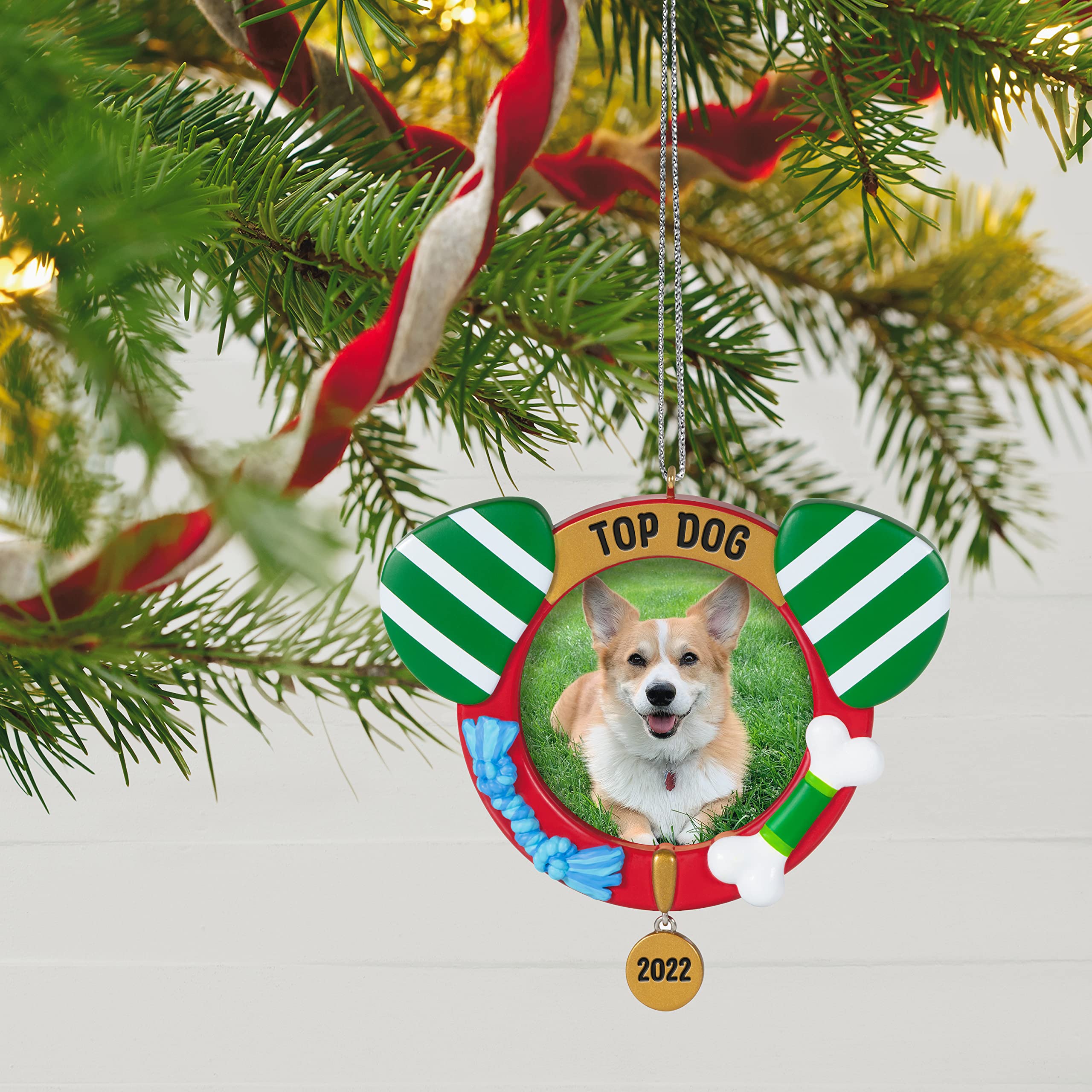 Hallmark Keepsake Christmas Ornament 2022 Year-Dated, Top Dog Photo Frame