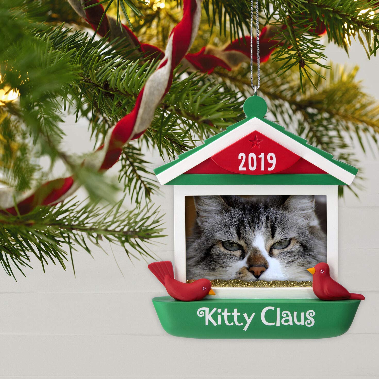 Hallmark Keepsake Christmas Ornament 2019 Year Dated Kitty Claus Cat in Bird Feeder Photo Frame,