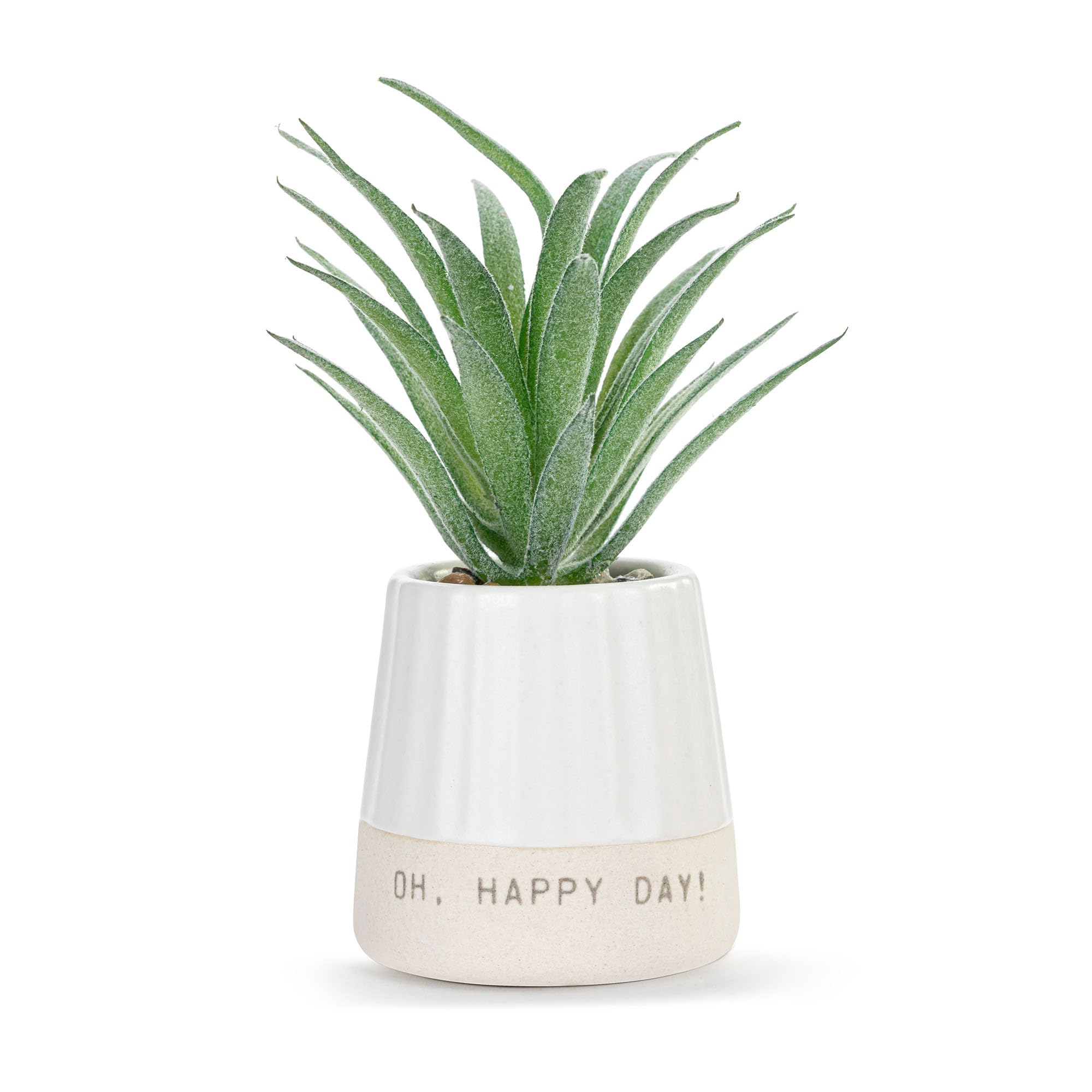 DEMDACO Happy Day Just Because Artificial White 2 x 1.5 Stoneware Mini Succulent