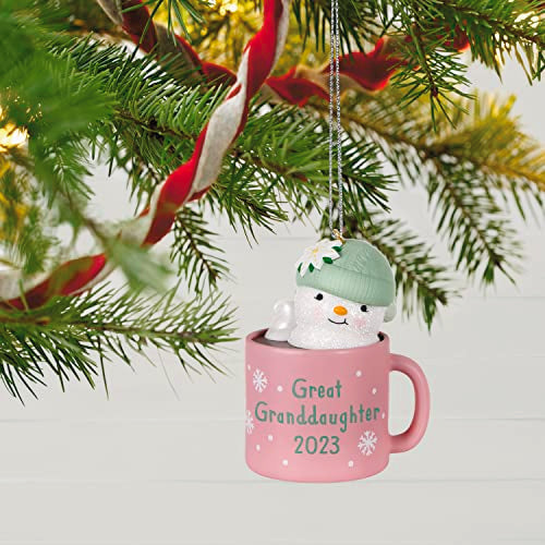 Hallmark Keepsake Christmas Ornament 2023, Great-Granddaughter Hot Cocoa Mug, Family Gifts