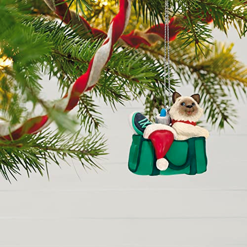 Hallmark Keepsake Christmas Ornament 2022, Mischievous Kittens Tabby, Mini Tree Ornament,Plastic