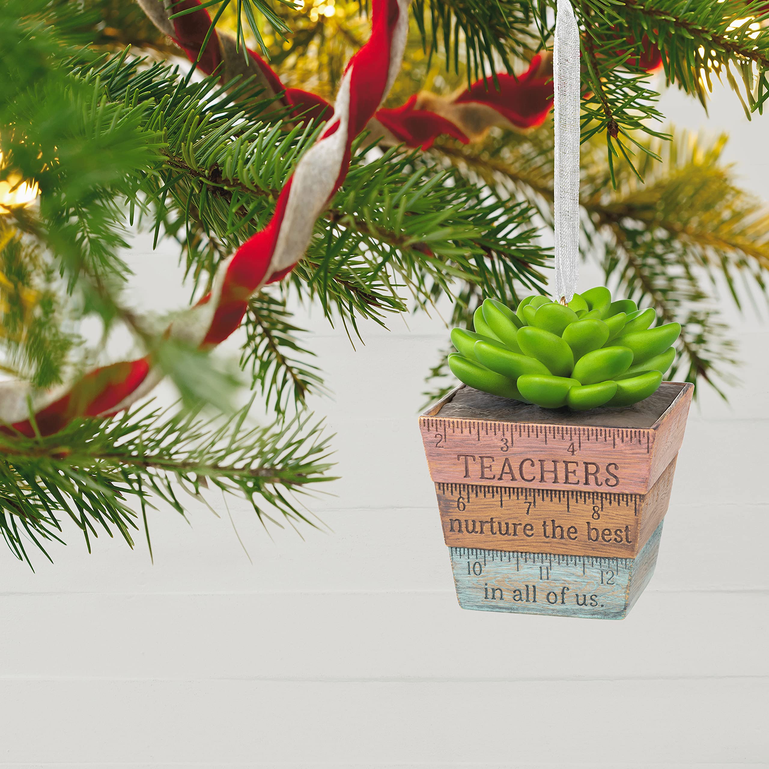 Thank You, Teacher! Keepsake Christmas Ornament 2021